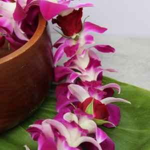Single Orchid with Baby Rose Lei