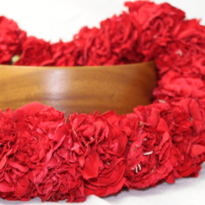Double Carnation Lei
