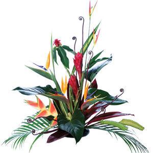 Hawaiian Passion