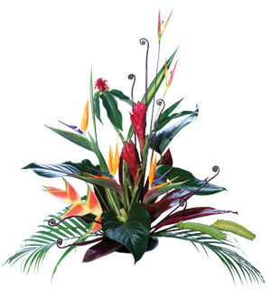 Hawaiian Passion