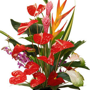 tropical flower arrangement
