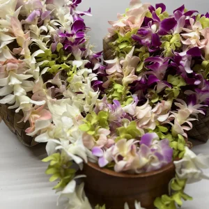 bundle of mixed orchid leis
