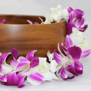 Mixed Orchid White Lei