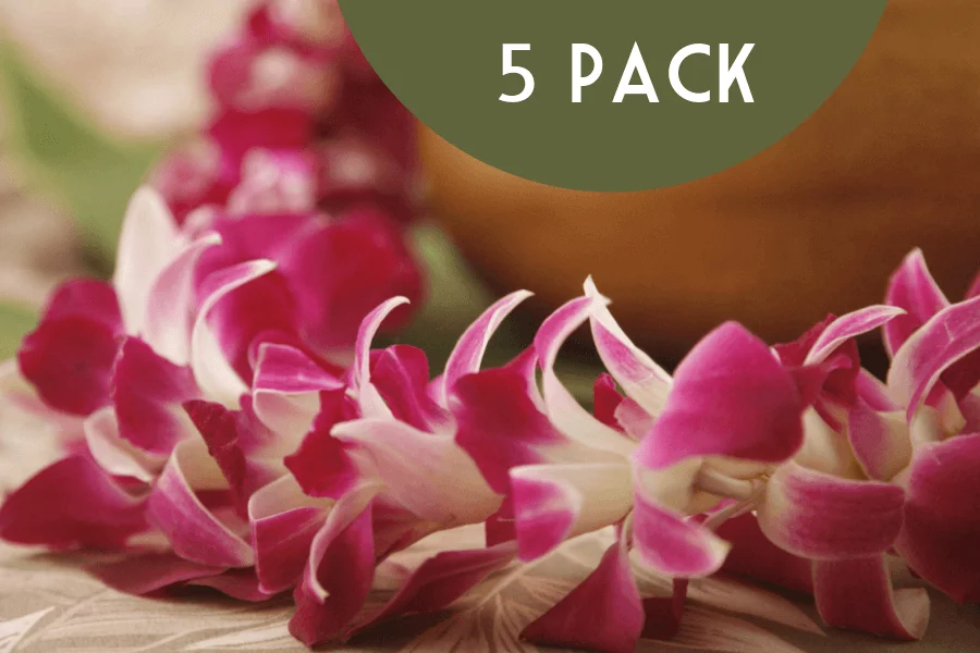 Orchid Lei 5 Pack