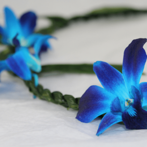 Ti Leaf with Orchid Blue Lei