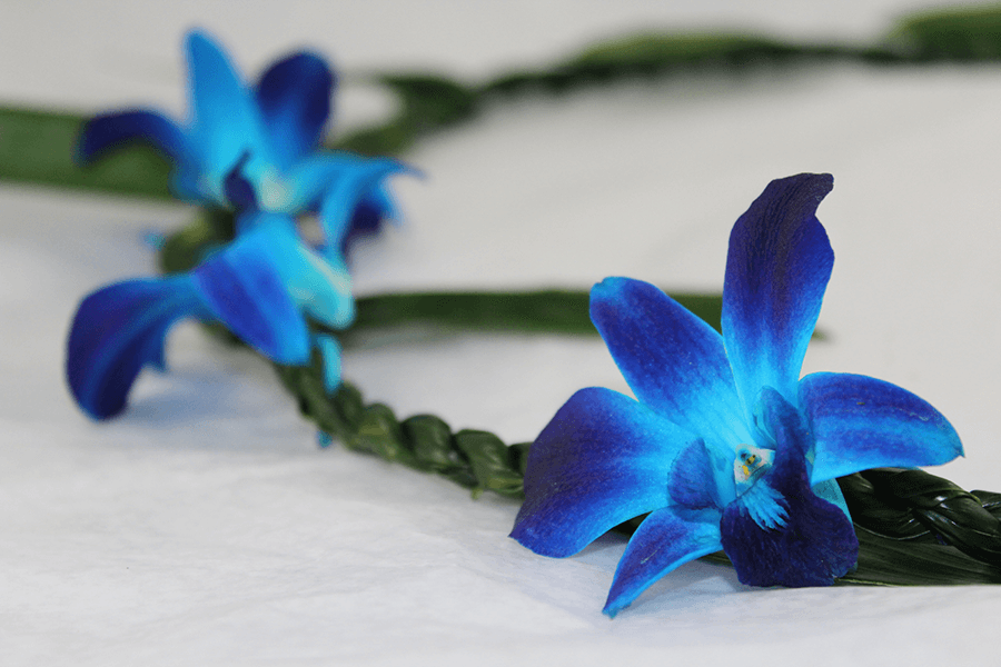 Ti Leaf with Orchid Blue Lei