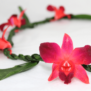 Ti Leaf with Orchid Red Lei