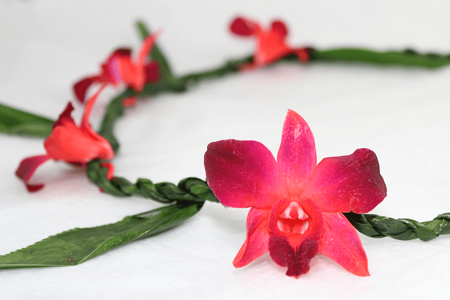 Ti Leaf with Orchid Red Lei