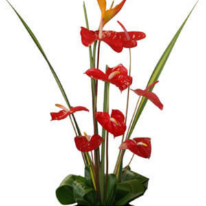 tropical Hawaiian flower arrangement